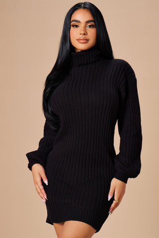 Too Cozy Turtle Neck Sweater Dress - Black