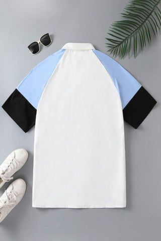 Men Color Block Raglan Sleeve Shirt